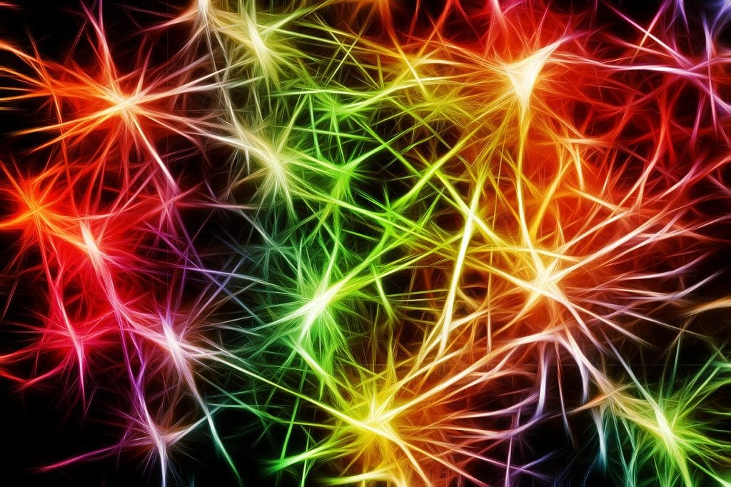 Flipping the Switch: How the Brain’s Internal Cleaning Crew Could Replace Expensive Alzheimer’s…