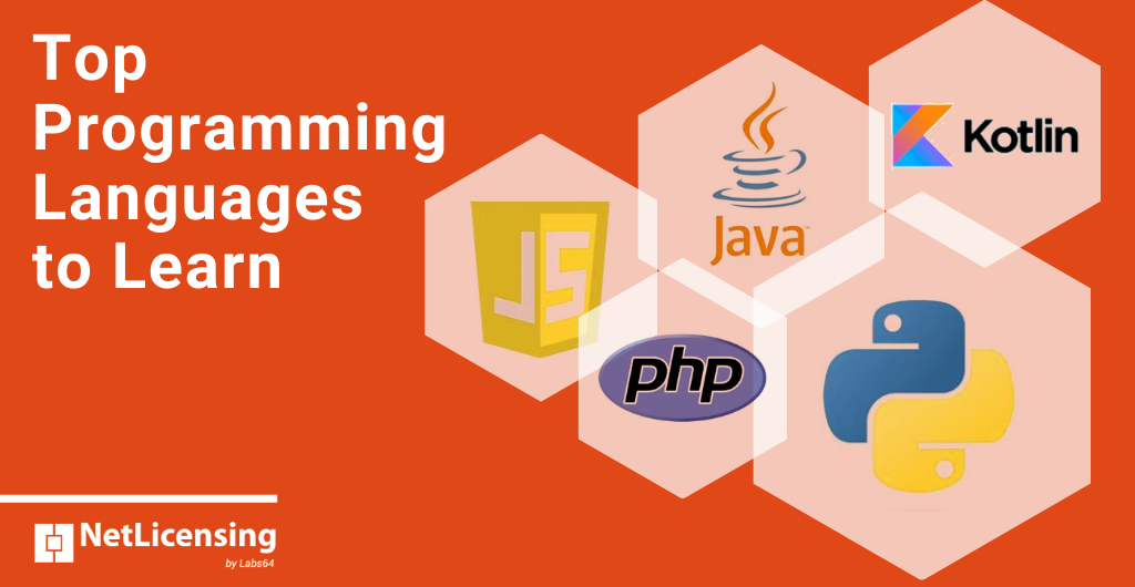 5 MUST KNOW Programming Languages | by Mahfuz Moon | Medium