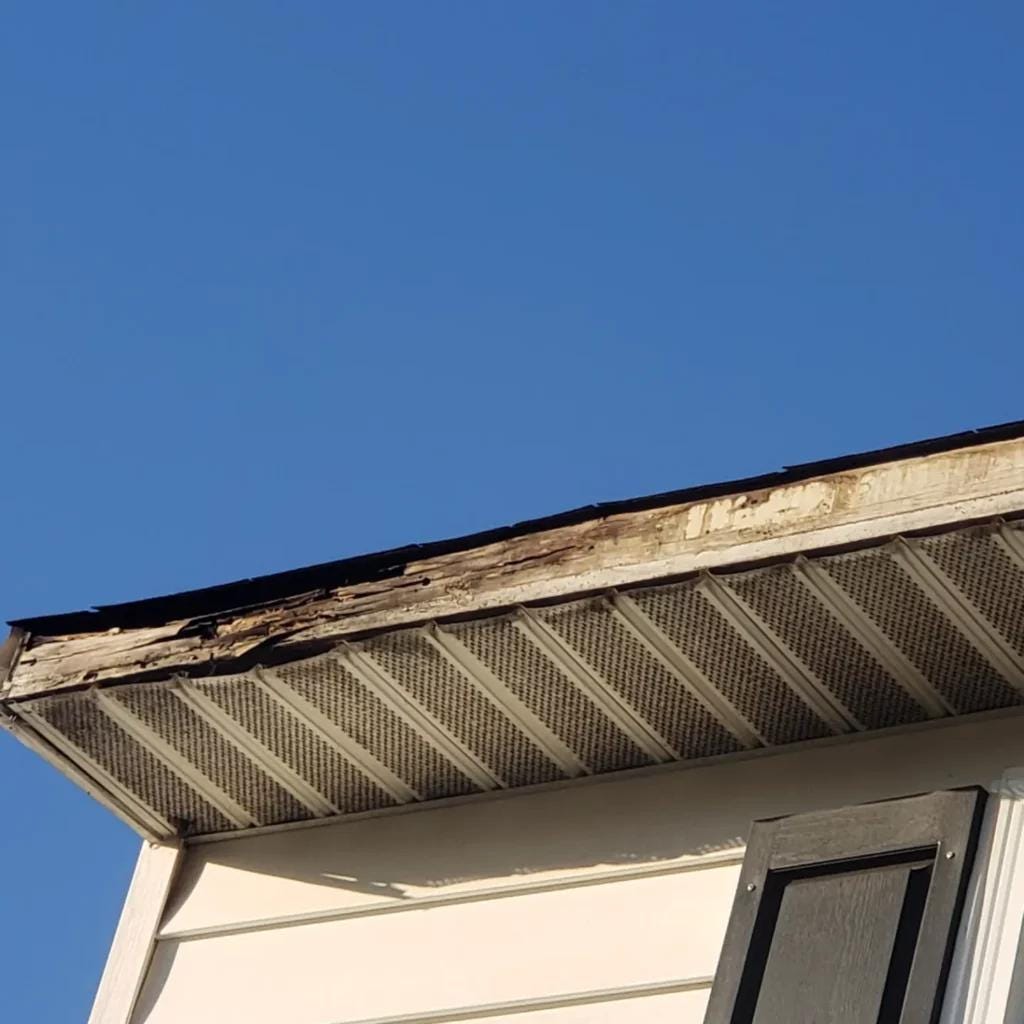 Protecting Your Home: When to Repair Your Roof or Replace Fascia Boards
