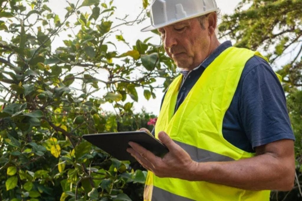 Inside a Chainsaw NPTC Assessment: The Checks Assessors Really Make