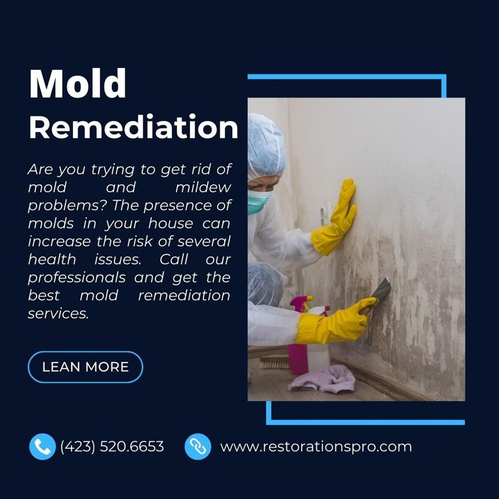 Picture Idea: Mold Remediation Services Restorationspro