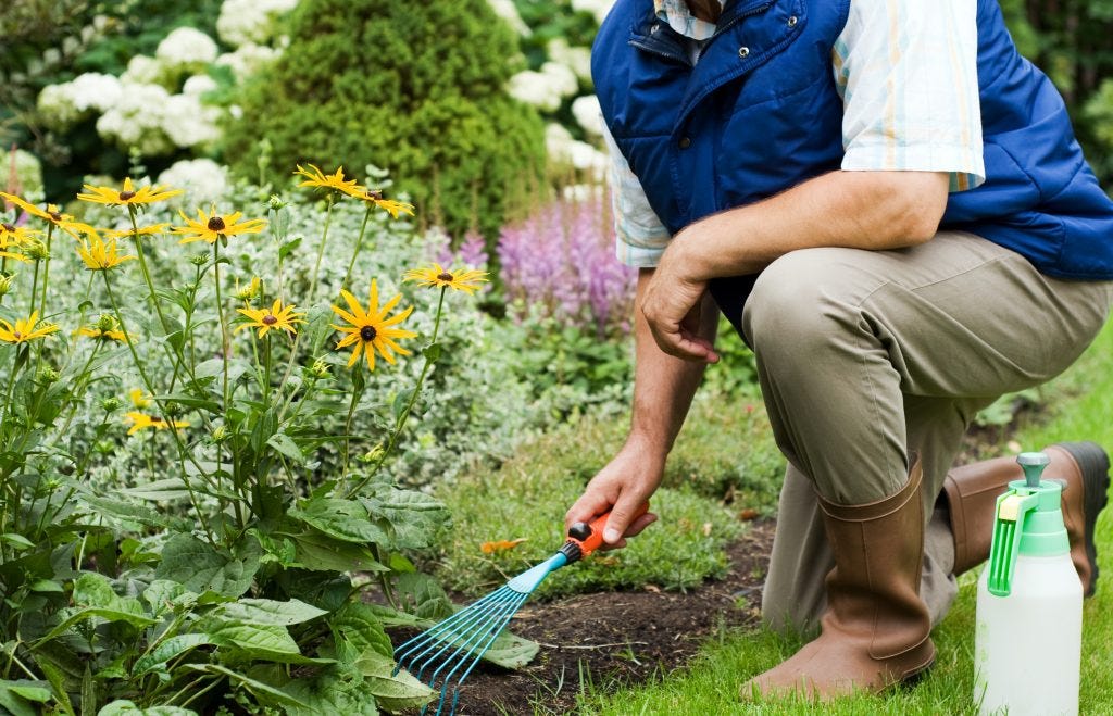 Easy Spring Yard Clean Up Tips. You don’t have to give up your entire ...