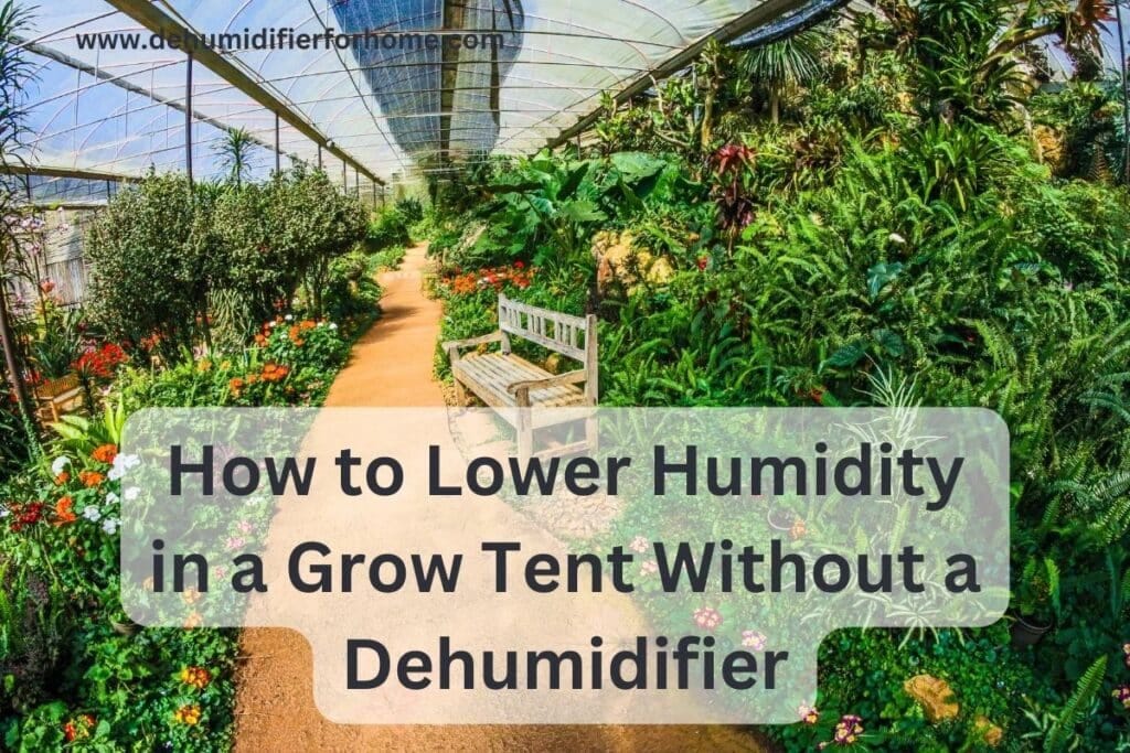 How to Lower Humidity in a Grow Tent Without a Dehumidifier