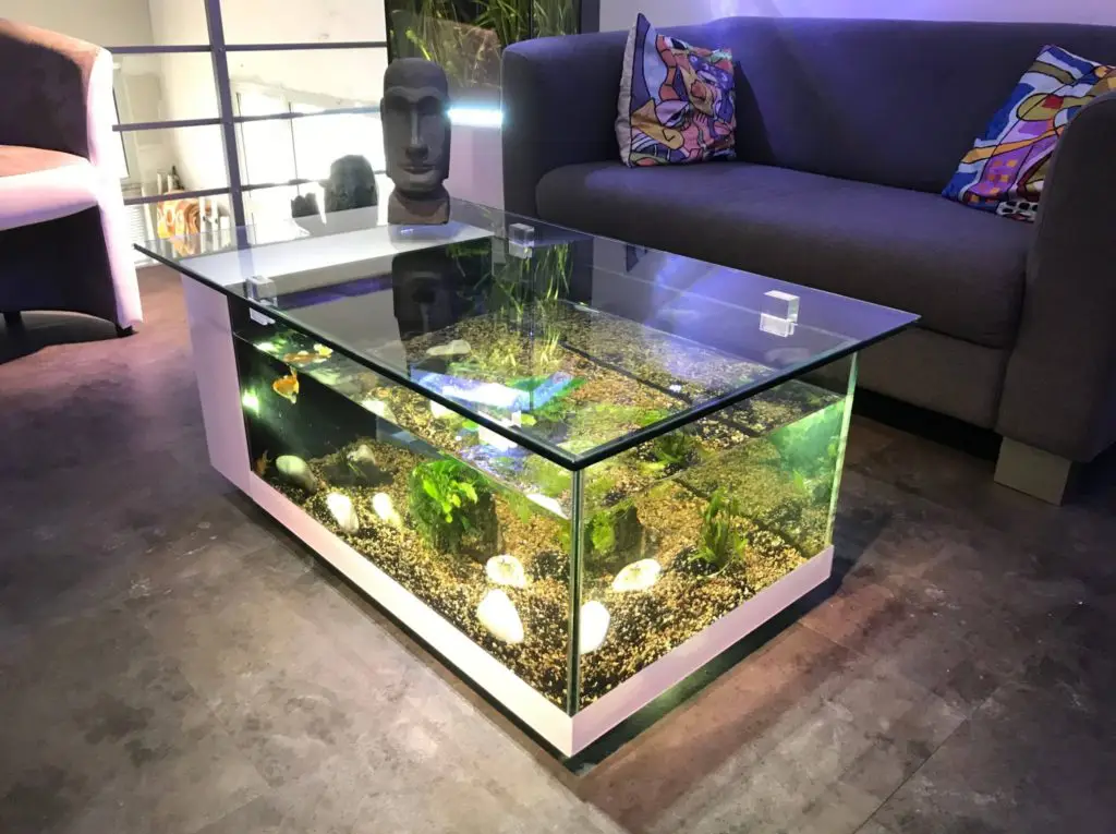 The Best Fish Tank Coffee Table | Aquarium in 2022 | by Champareff | Medium