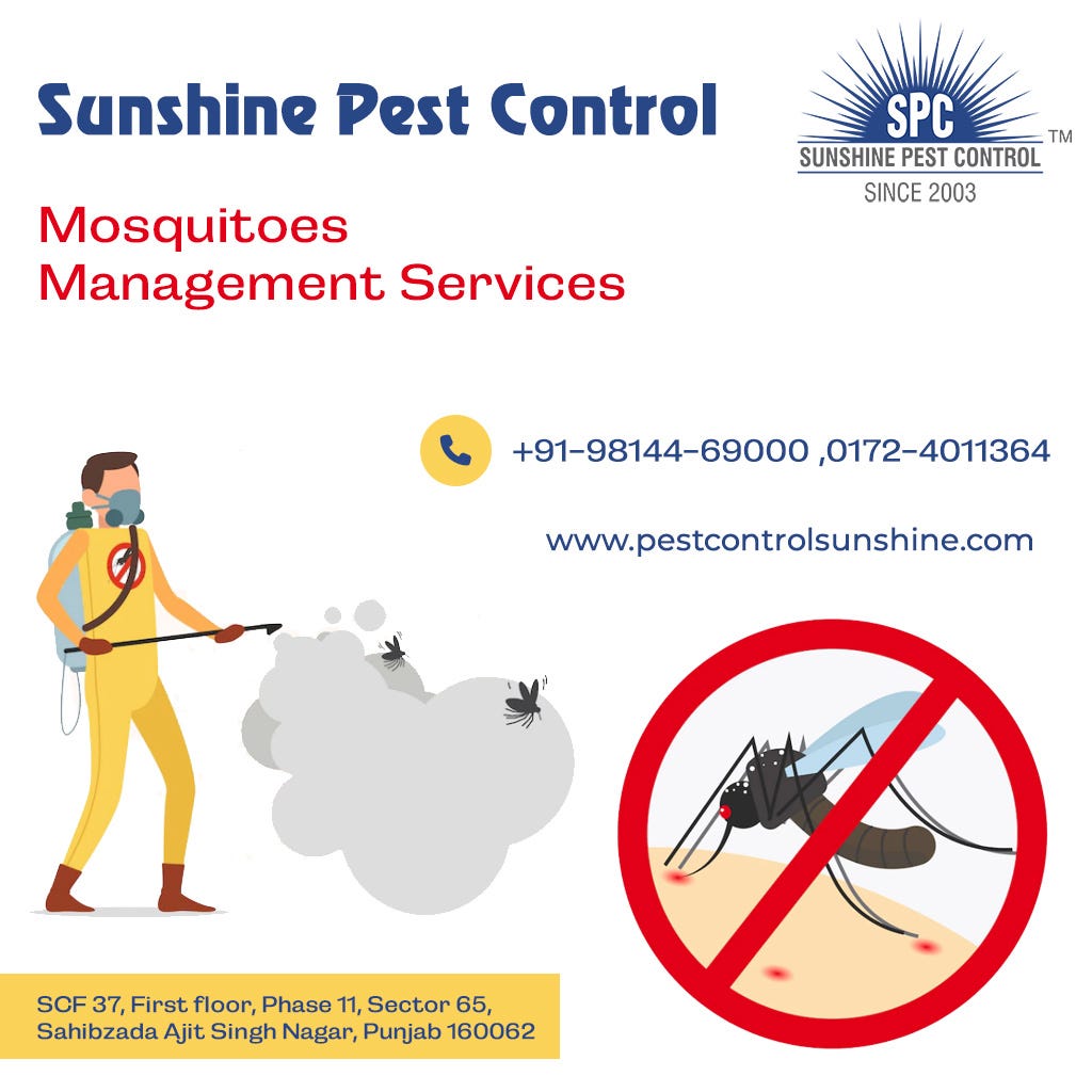 Mosquito Management Services Sunshine Pest Control(Mr. Arshi Singh