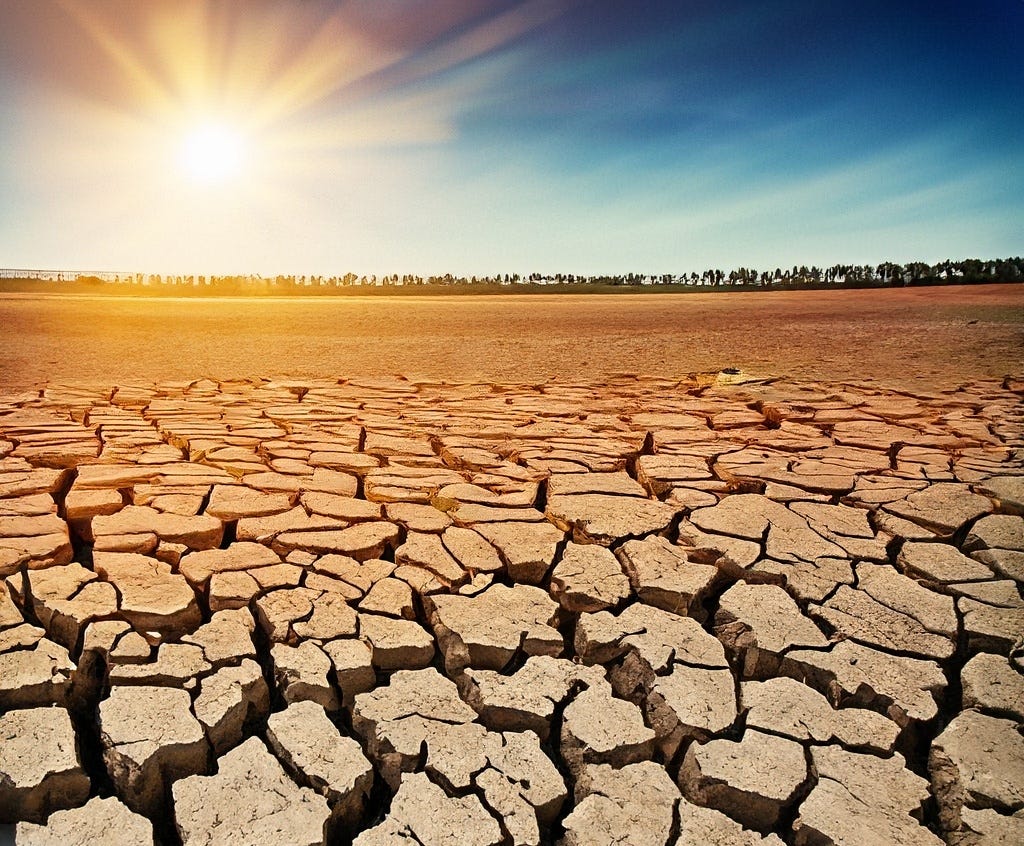 The Impact of Climate Change on Potato Sprouting and Storage by