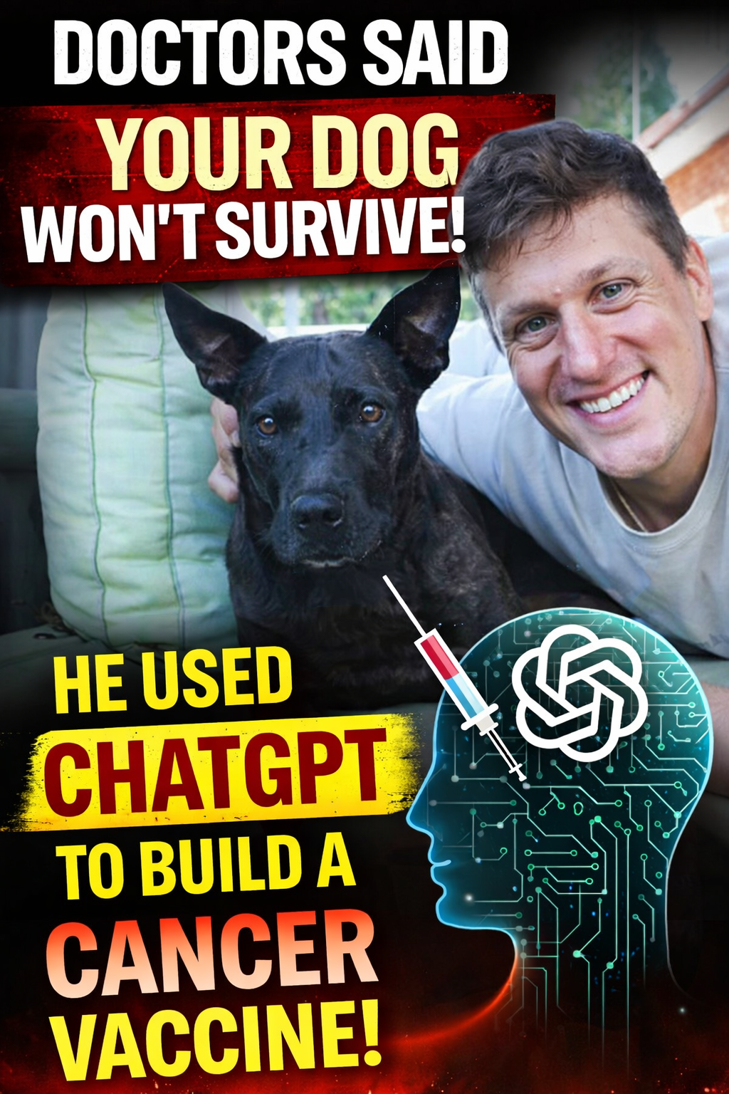 When Doctors Said “Your Dog Won’t Survive”… This Data Engineer Turned to ChatGPT-and Built a Cancer…