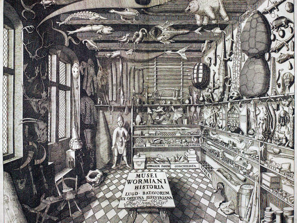 Wunderkammer