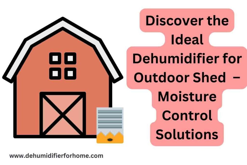 Discover the Ideal Dehumidifier for Outdoor Shed — Moisture Control