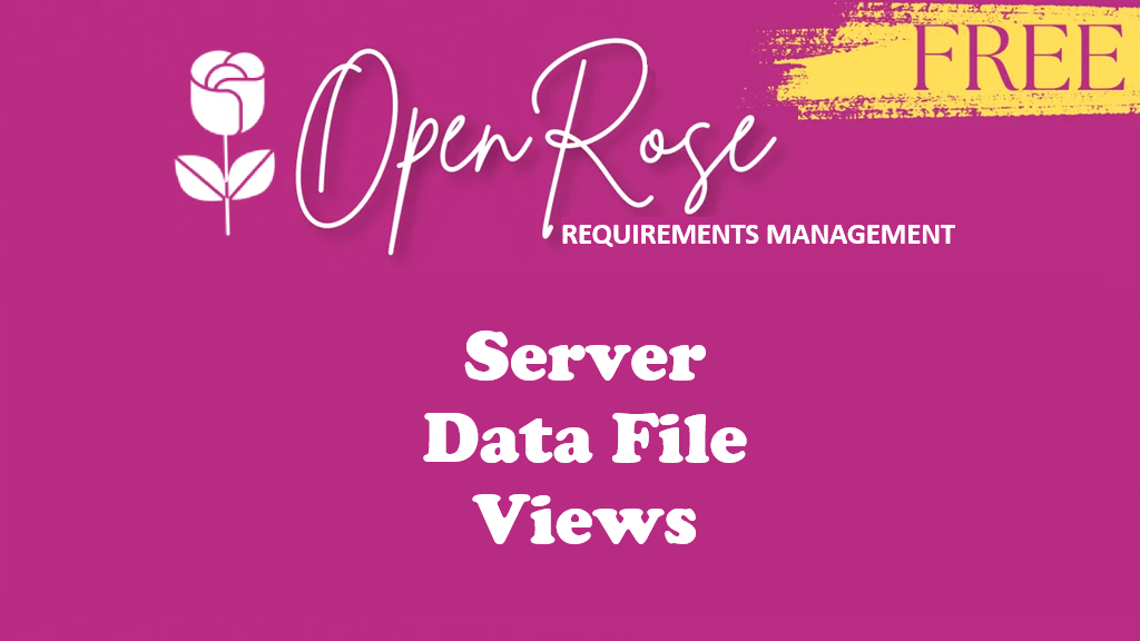 Server-Side Requirements Data file Views — Simple, Easy and Effective way to share!