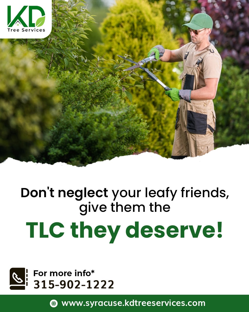 Expert Tree Service Syracuse NY for Exceptional Care KD Tree Syracuse