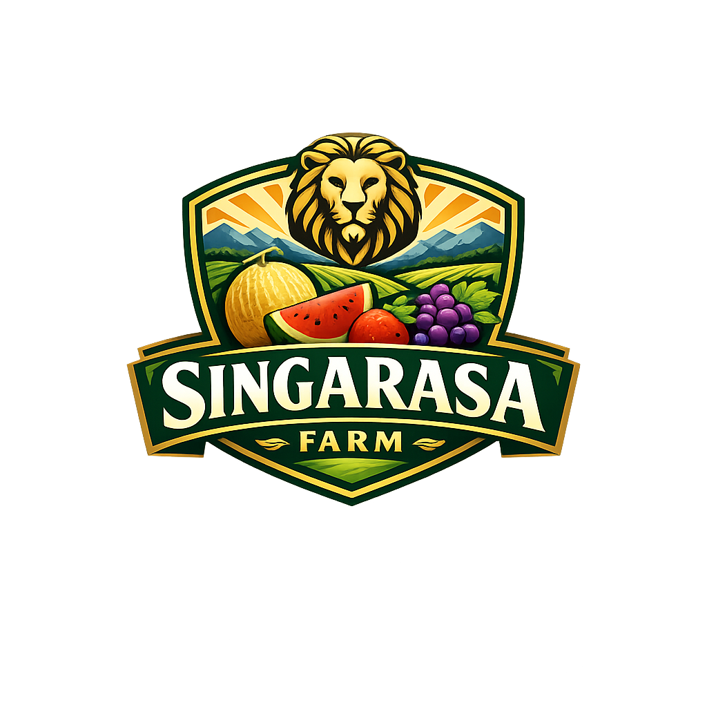 Supplier Buah Borongan