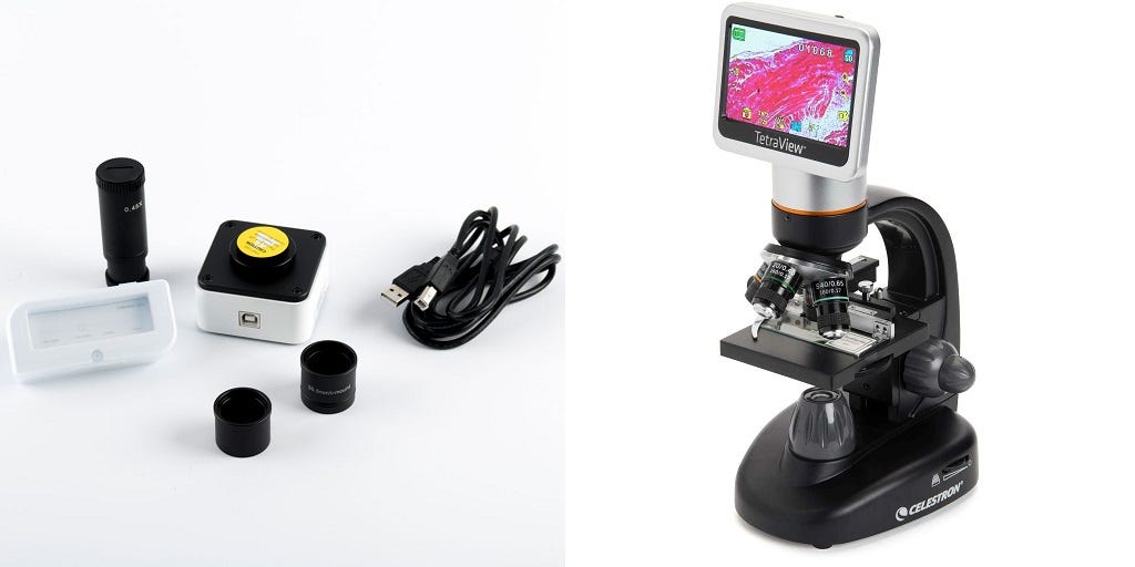 How a Digital Microscope Helps Bring Homeschool Science Lessons to Life
