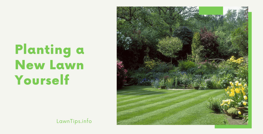 Planting A New Lawn Yourself - Lawn Tips - Medium