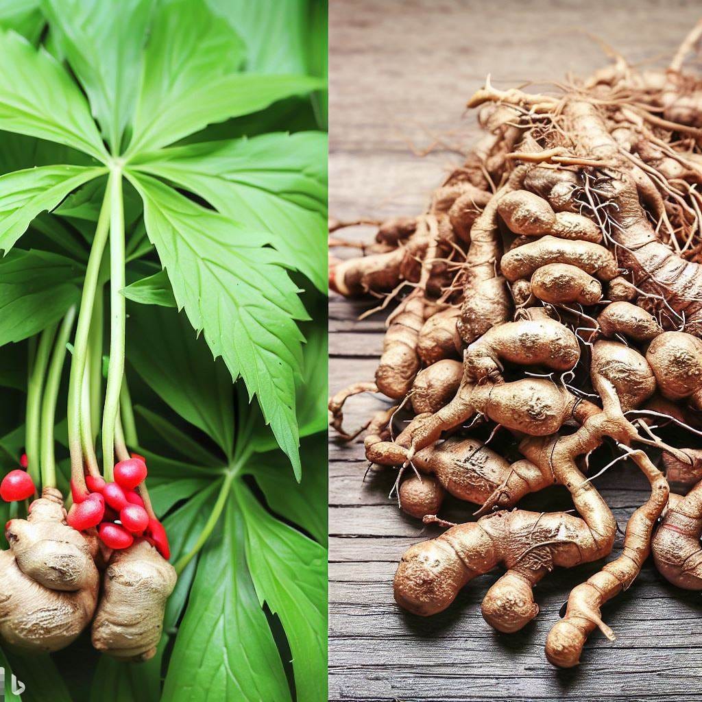 Ginseng The Amazing Herb with Two Faces by Healthy Jun