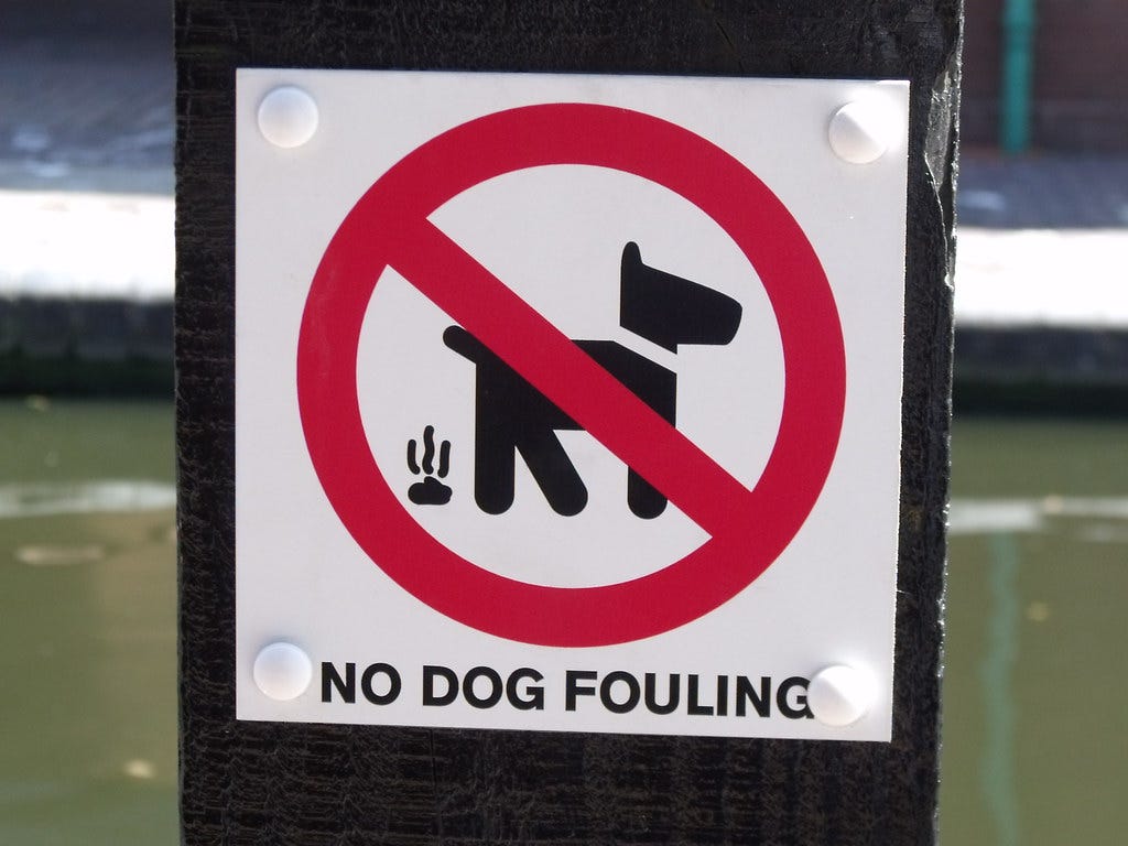 Campaign urges Warrington dog owners to tackle fouling