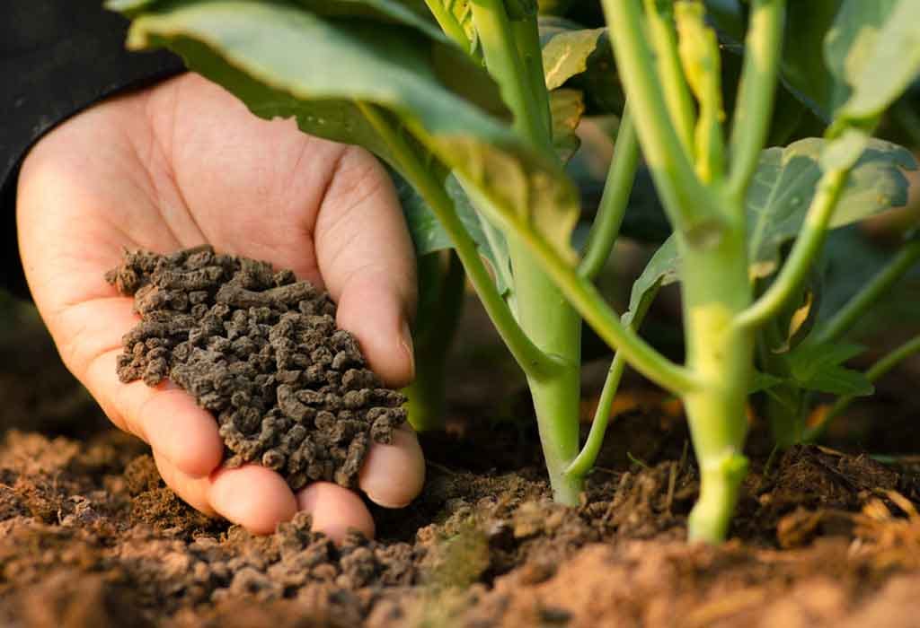Mineral fertilizer deals
