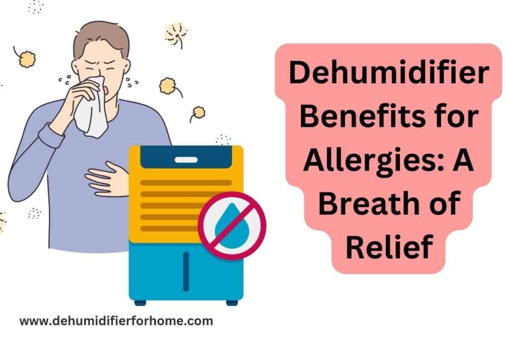 Dehumidifier for Allergies A Breath of Relief dehumidifier for home