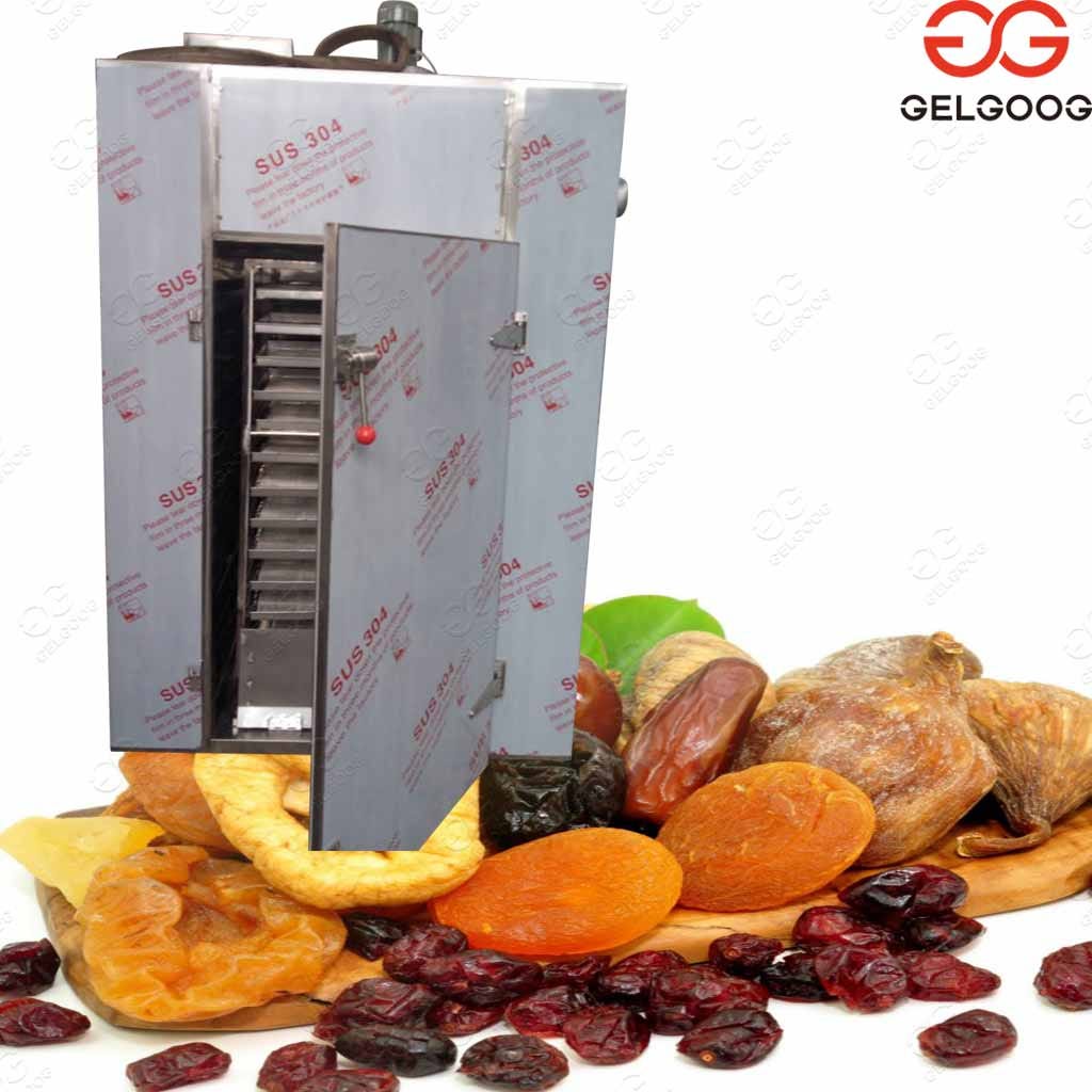 fruit dryer machine