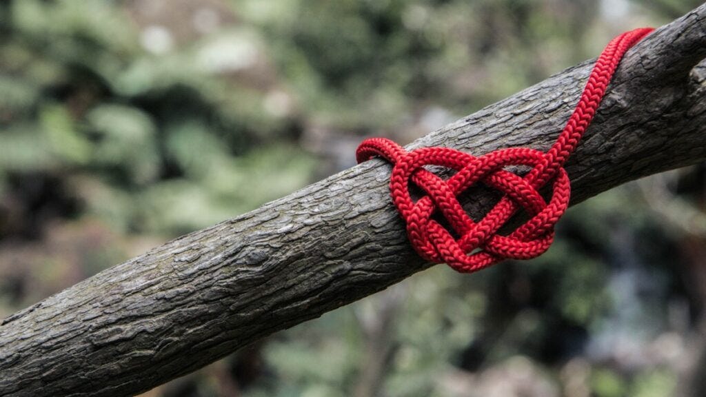 What is Loose Coupling? Its Importance in REST API Design. by