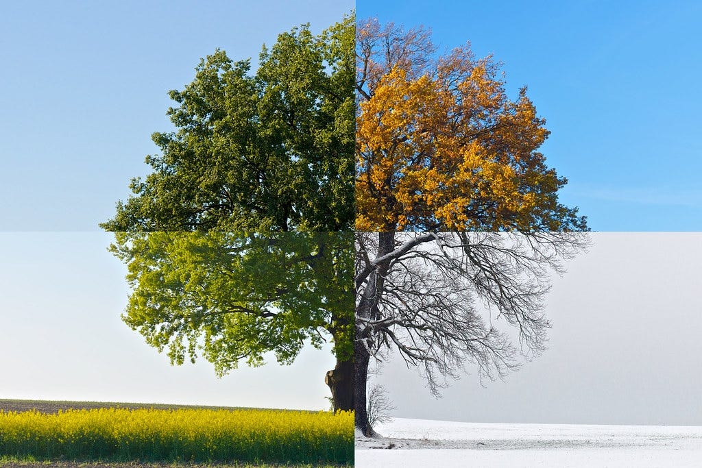 The Seasonal Shift — Decoding The Connection Between Weather Changes