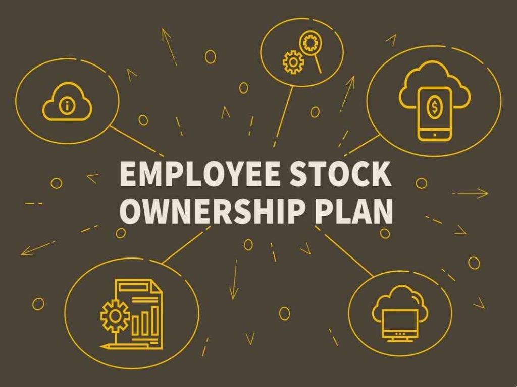 What Is An ESOP Loan? Learn What You Need To Know - I Am Amrita What Is An ESOP Loan? Learn What You Need To Know - I Am Amrita