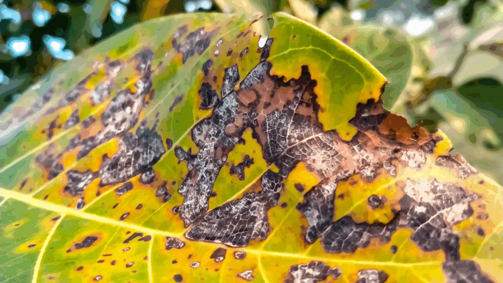 Michigan’s Silent Tree Killers: 9 Common Diseases (and How to Protect Your Landscape)