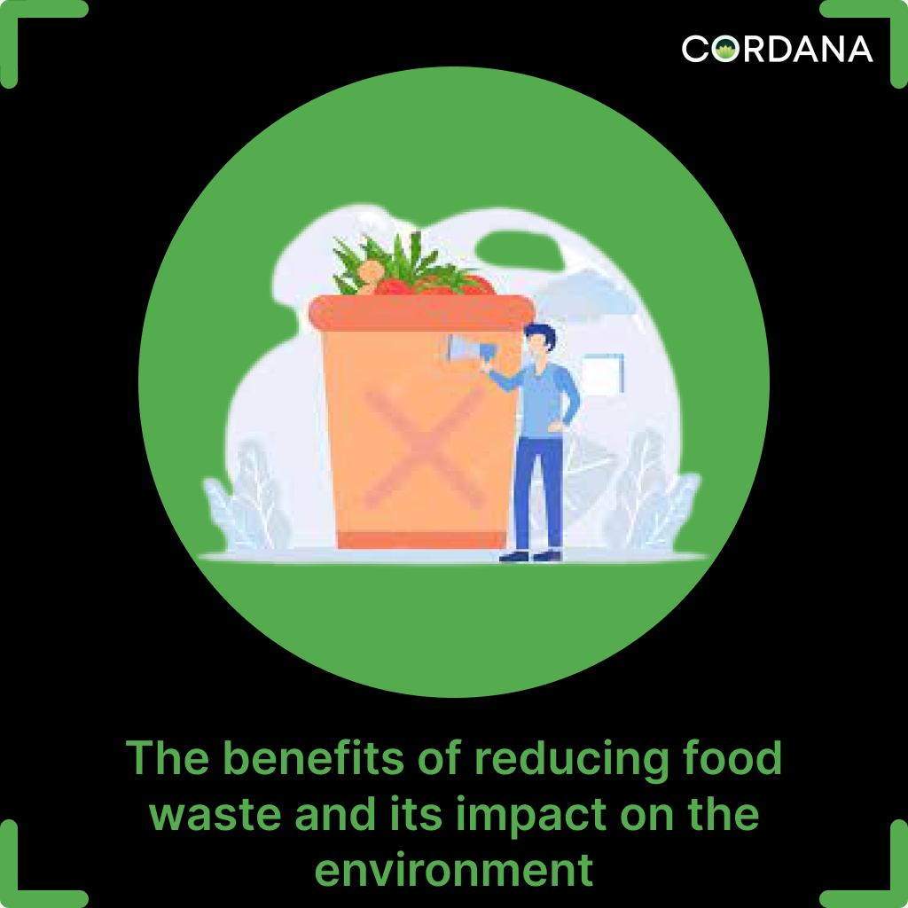 benefits of reducing food waste essay
