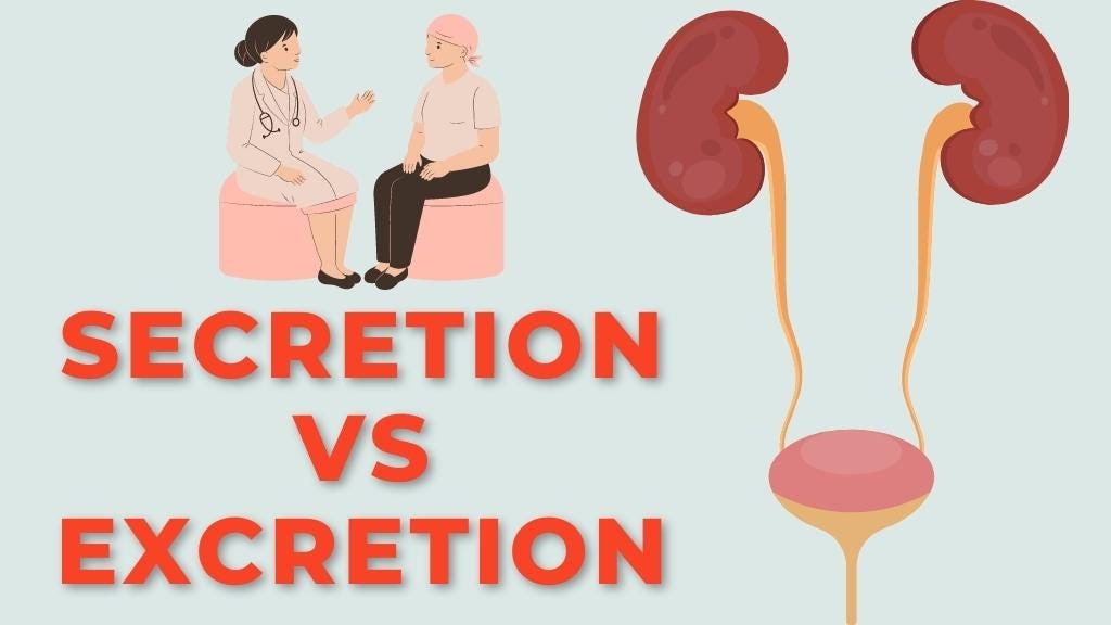 What Is The Difference Between Secretion And Excretion?