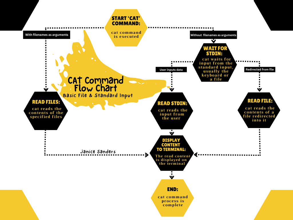 cat-command-a-visual-for-the-curious-beginner-by-janice-sanders