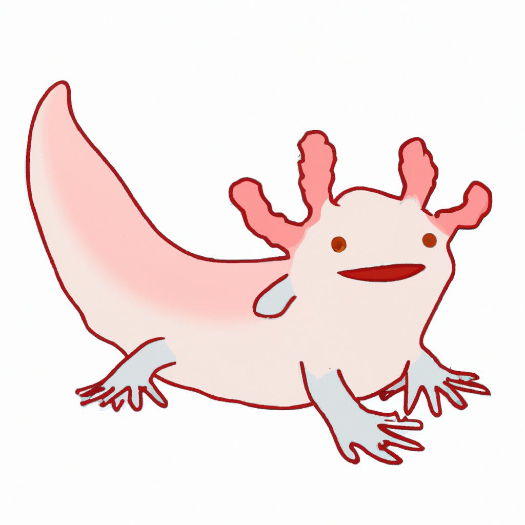 Axolotl Drawing