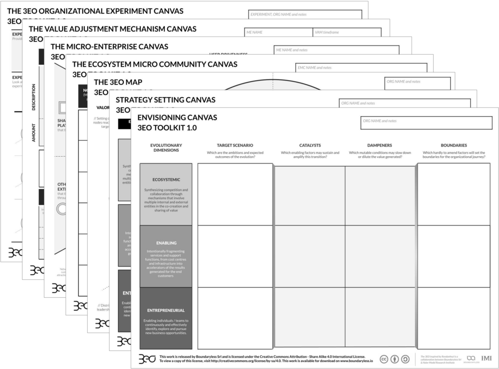 The 3EO Toolkit: Entrepreneurial Ecosystem Enabling Organization
