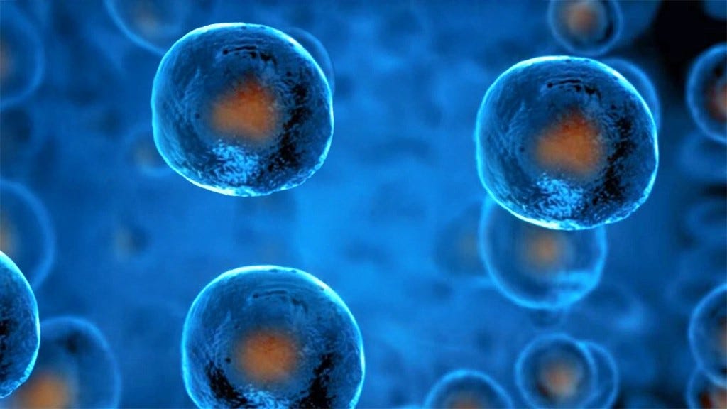 How Precision Oncology Is Unlocking Tumor-Agnostic Breakthroughs Across Cancer Types