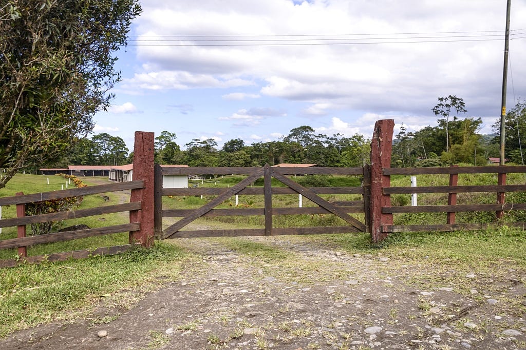 The Benefits Of Using Cedar For A Fence by Albert Elliott Medium