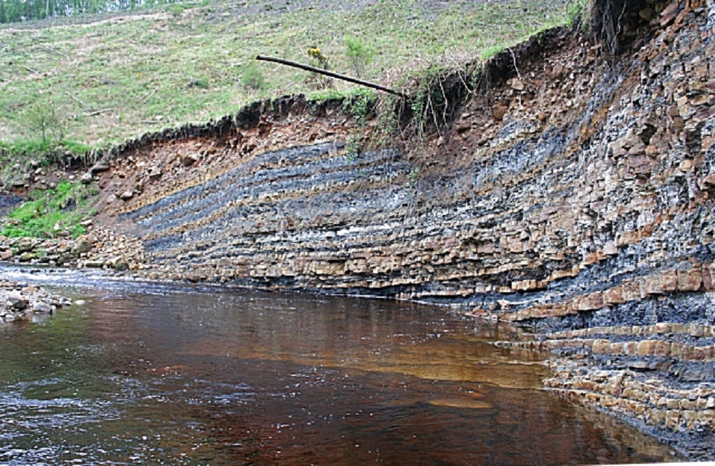 Unveiling Earth’s Hidden Layers: Understanding the Soil Profile  by 