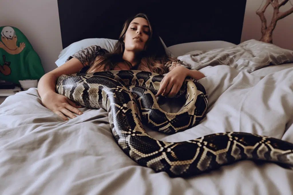 Woman’s Nightly Python Companion: Vet Reveals Startling Truth | by ...