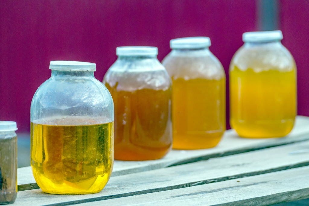 Best Kombucha Flavors A Refreshing Journey to Discover the Perfect