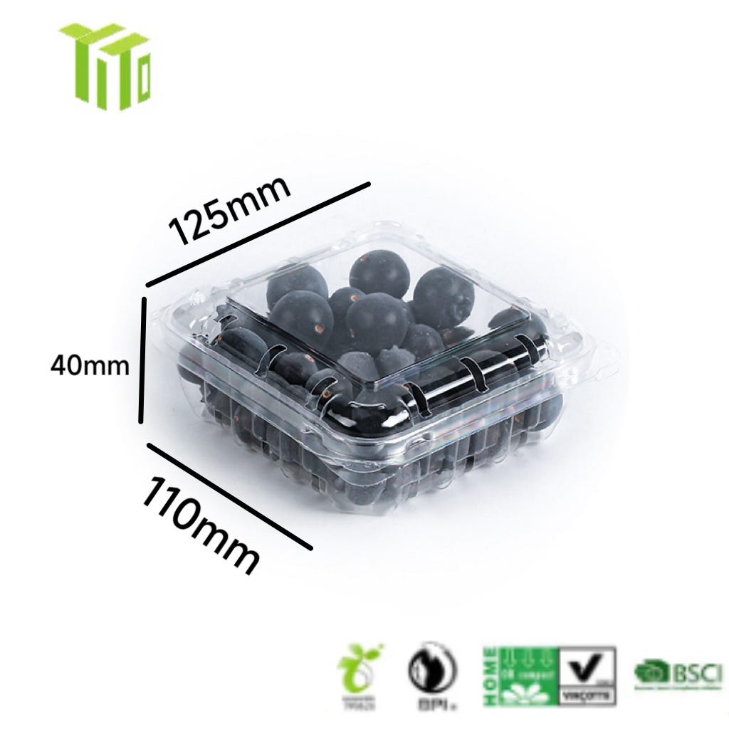 YITO’s Commitment to Sustainability: Biodegradable Clamshell Containers That Make a Difference
