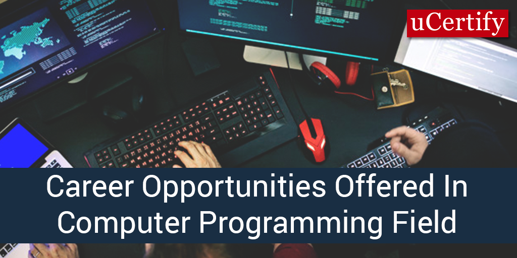 Career Opportunities Offered In Computer Programming Field | by Brian ...