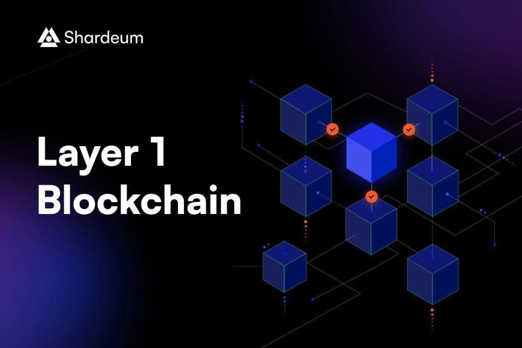 O que é Blockchain da Camada 1?. Noções básicas de Blockchain … | by  TheodagreatvoiceTradus | Dec, 2023 | Medium