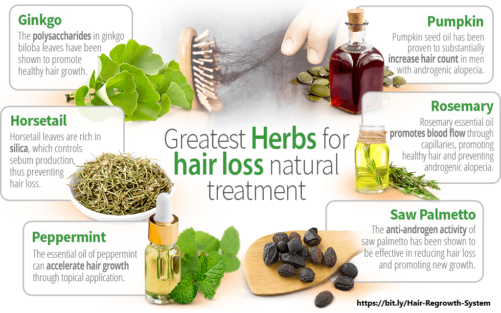 Harnessing Nature's Power: The Best Herbs for Hair Loss Natural Treatment |  by Healthh Awarenesss | Medium