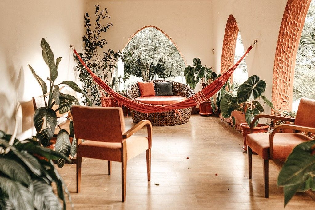 Eco-Friendly Interior Solutions for Greener Living | Design First
