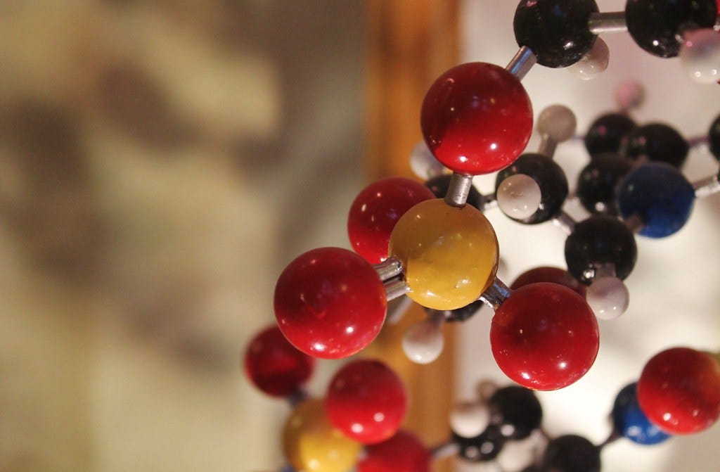 At MIT’s Dedon Lab: The Quest to Understand DNA Modifications