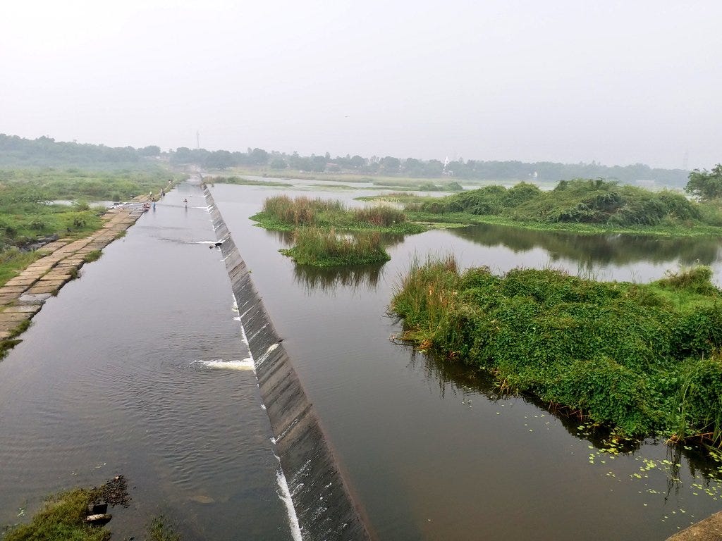 Thamirabarani River: Tamil Nadu’s Lifeline of History, Culture, and Biodiversity
