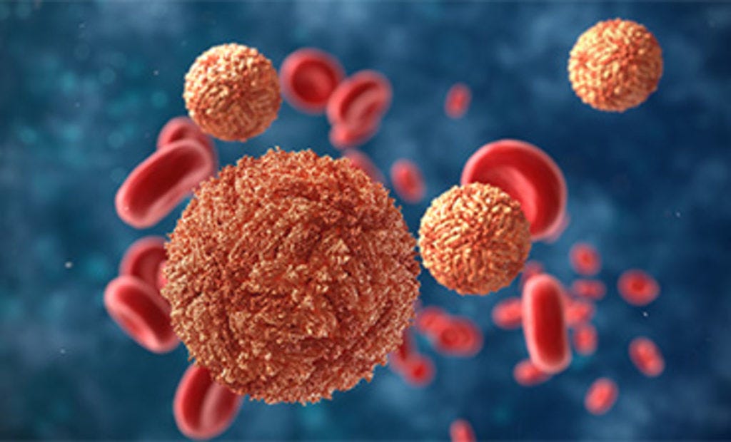 Zika Virus Disease, Symptoms and treatment | Comprehensive Guide for Early Detection