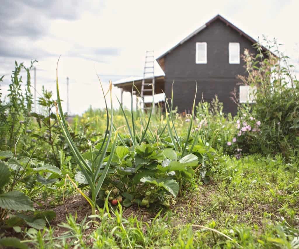 Using Linear Regression on Housing Data to Develop a Housing Communty