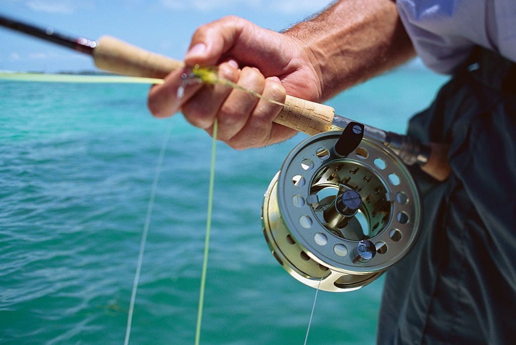 Light vs. Ultralight Rod For Trout by Felix Okonofua Medium