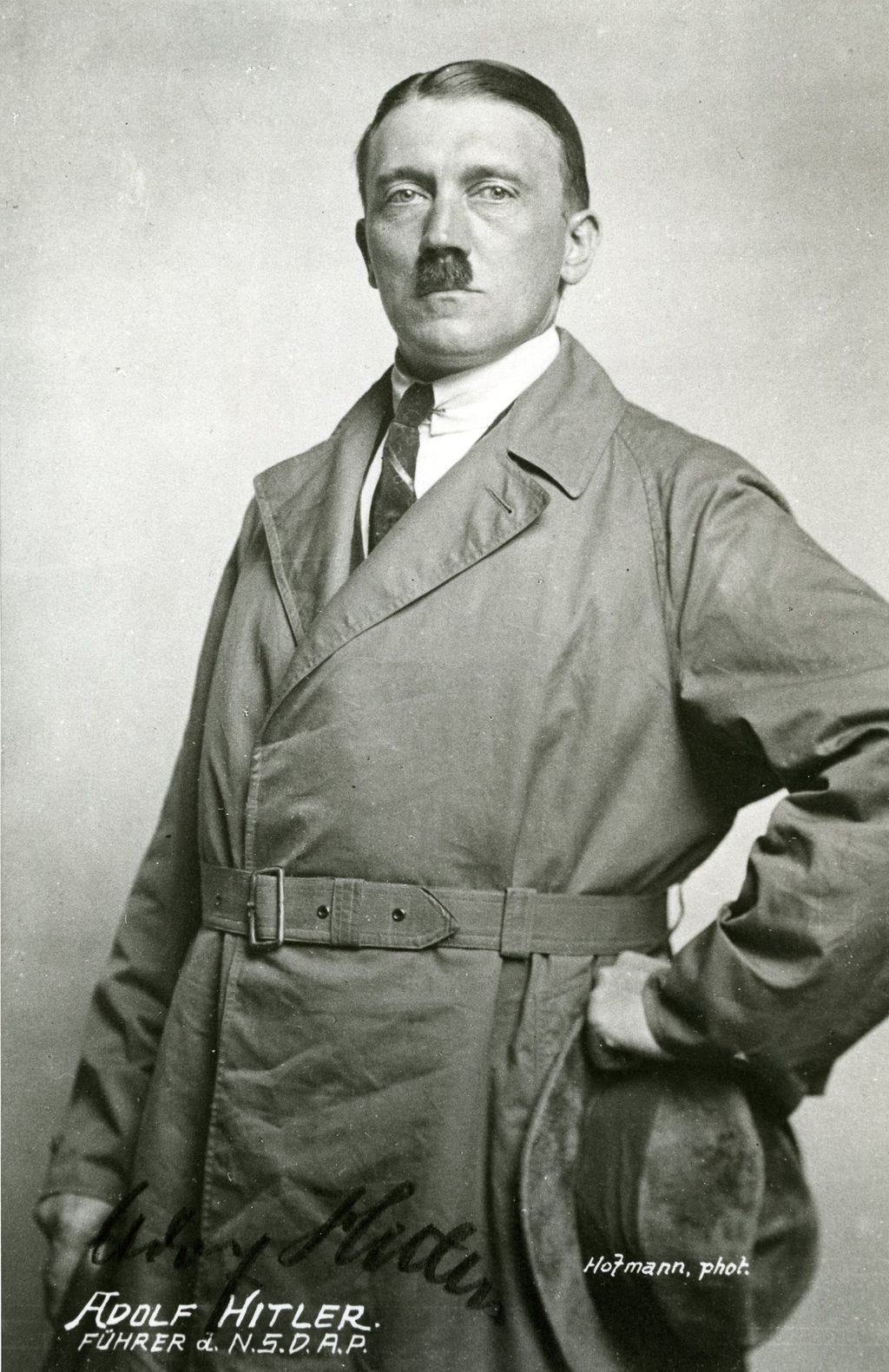 The Ascent Adolf Hitler’s Rise to Power by A Small Part