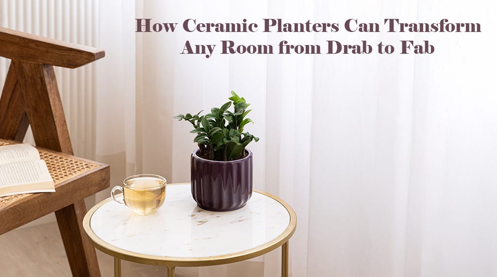 How Ceramic Planters Can Transform Any Room from Drab to Fab