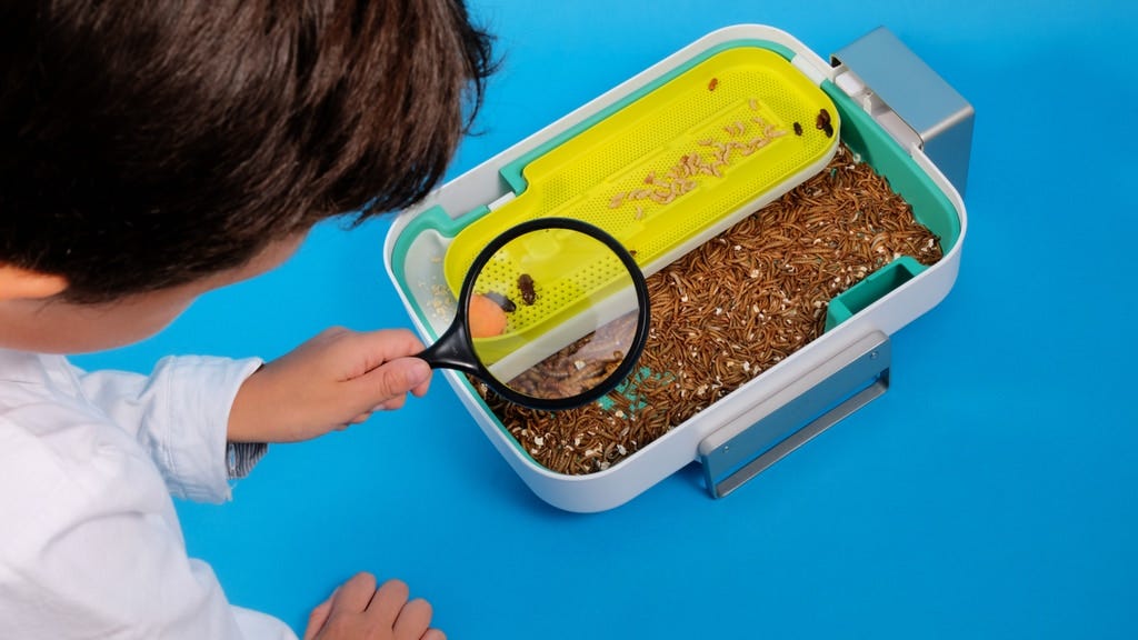 Hive Explorer Is the First Smart Insect Farm for Starters | by Cameron ...